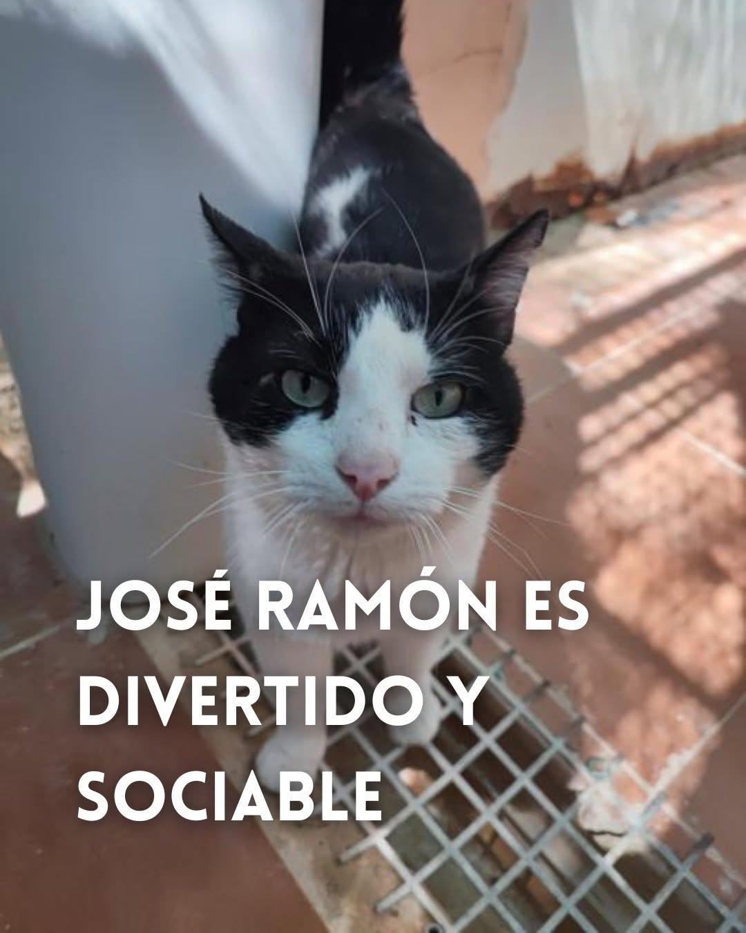 José Ramón (1/8)