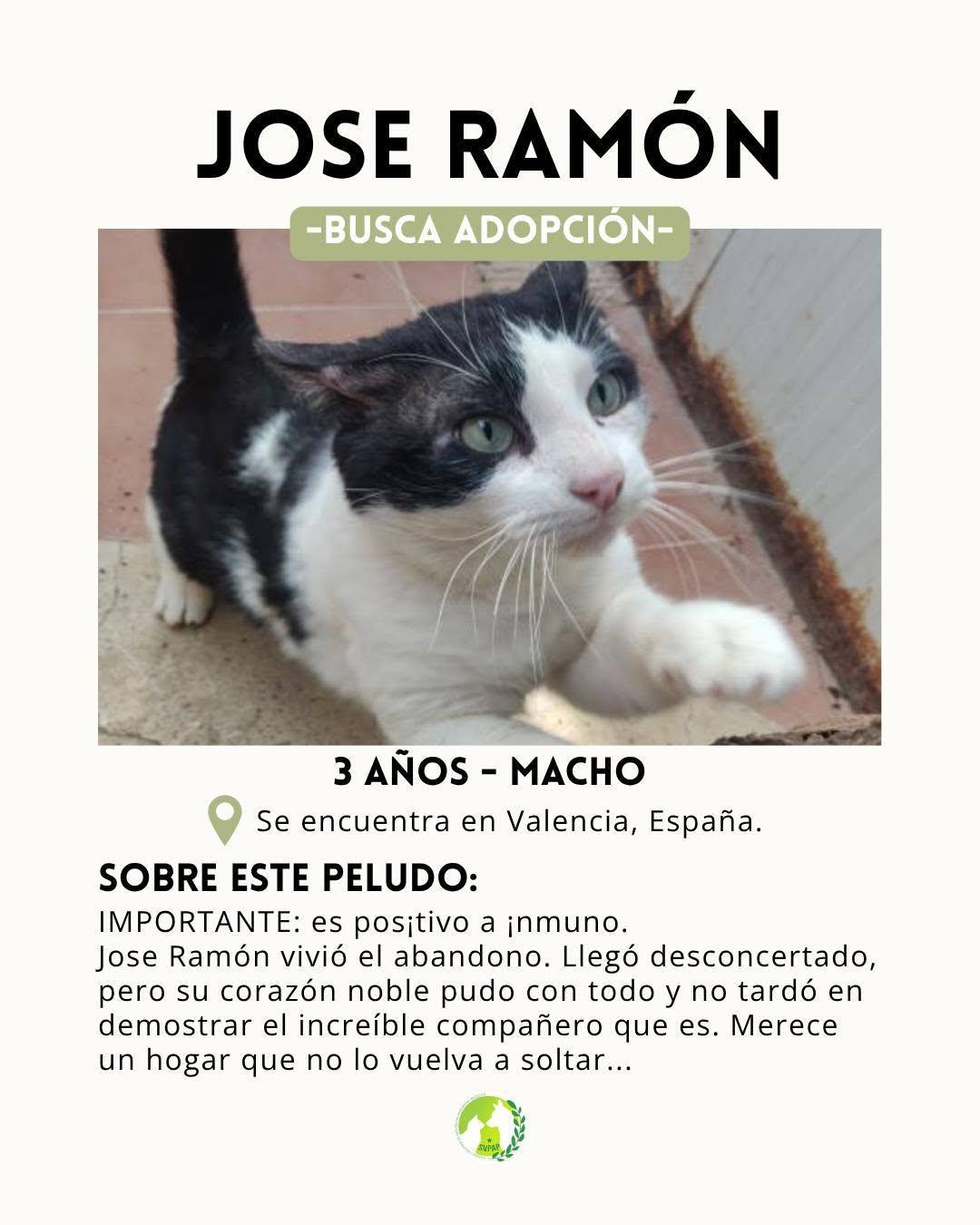 José Ramón (2/8)