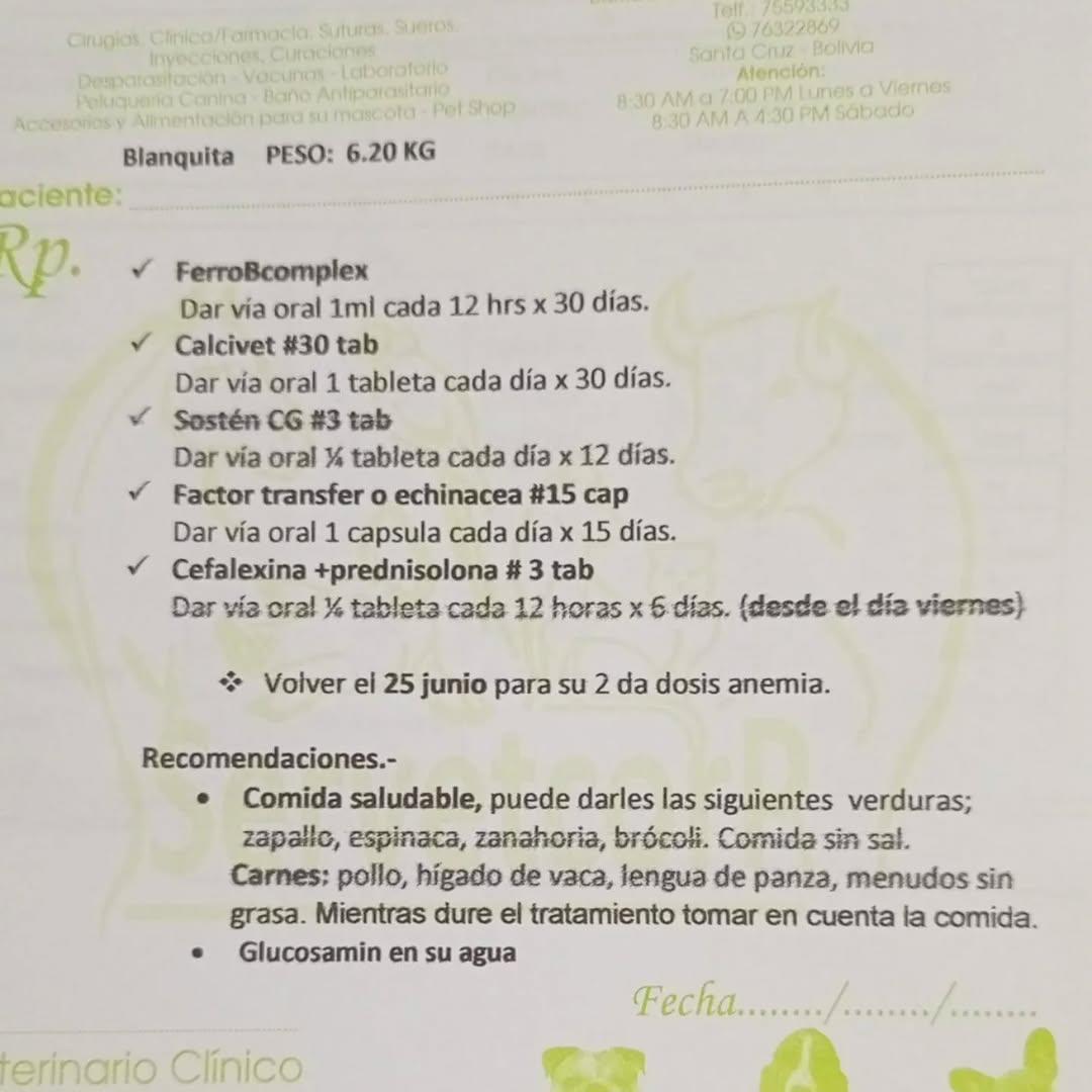 Blanquita (5/5)