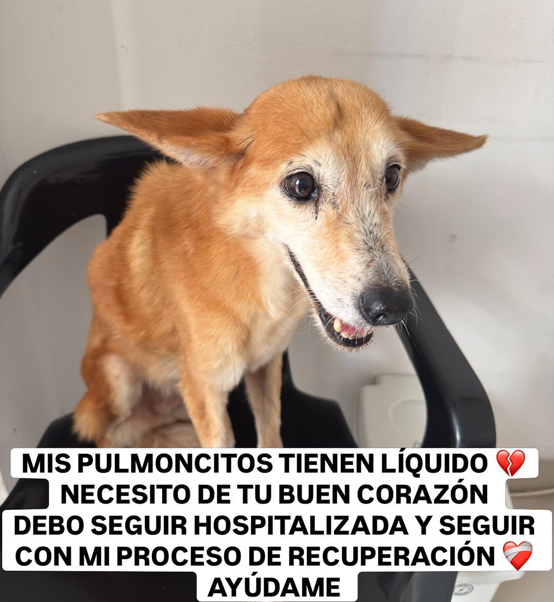 Sin nombre