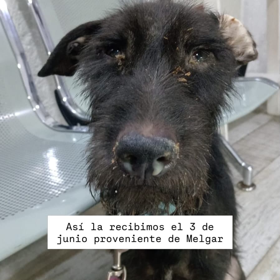 Sin nombre (1/2)