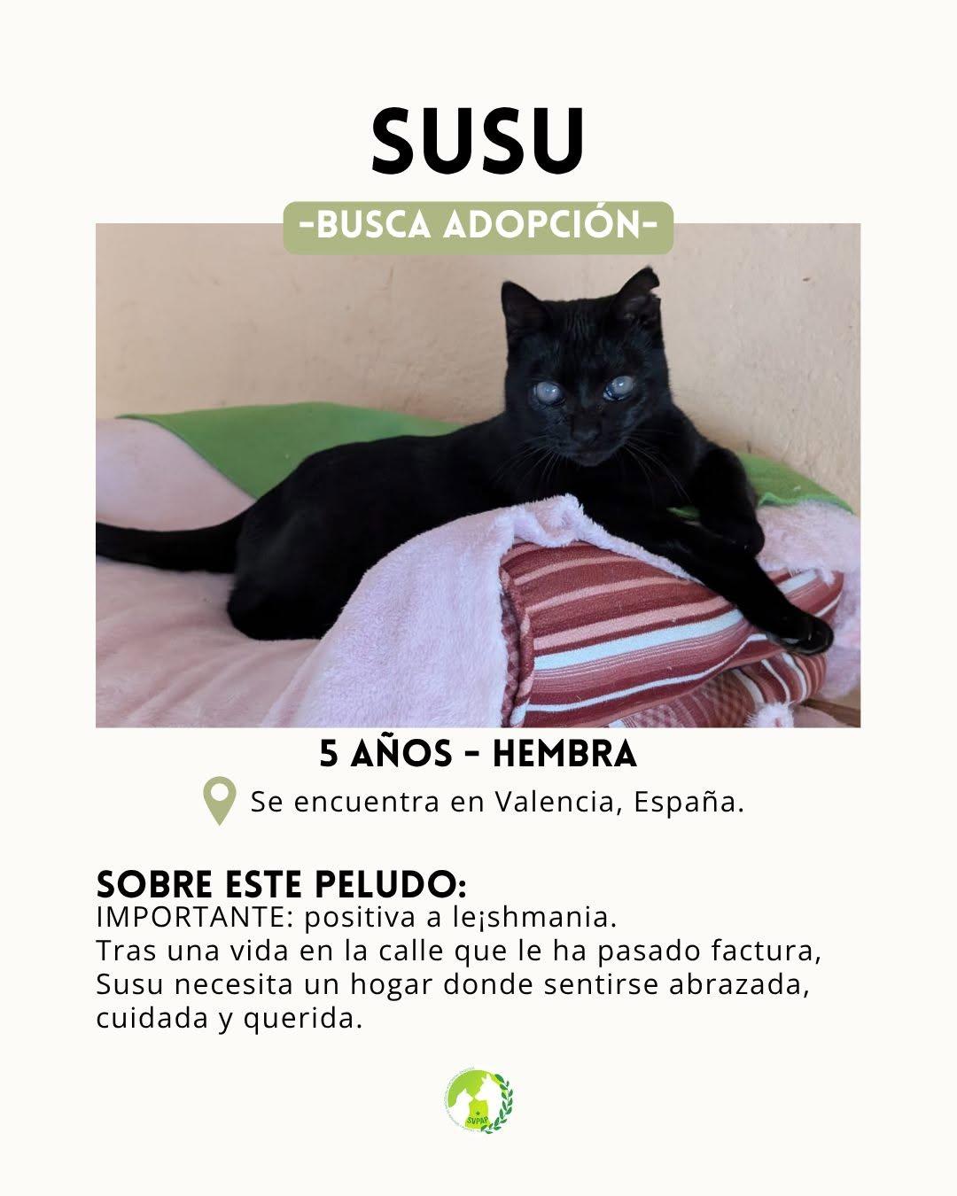 Susu (2/8)