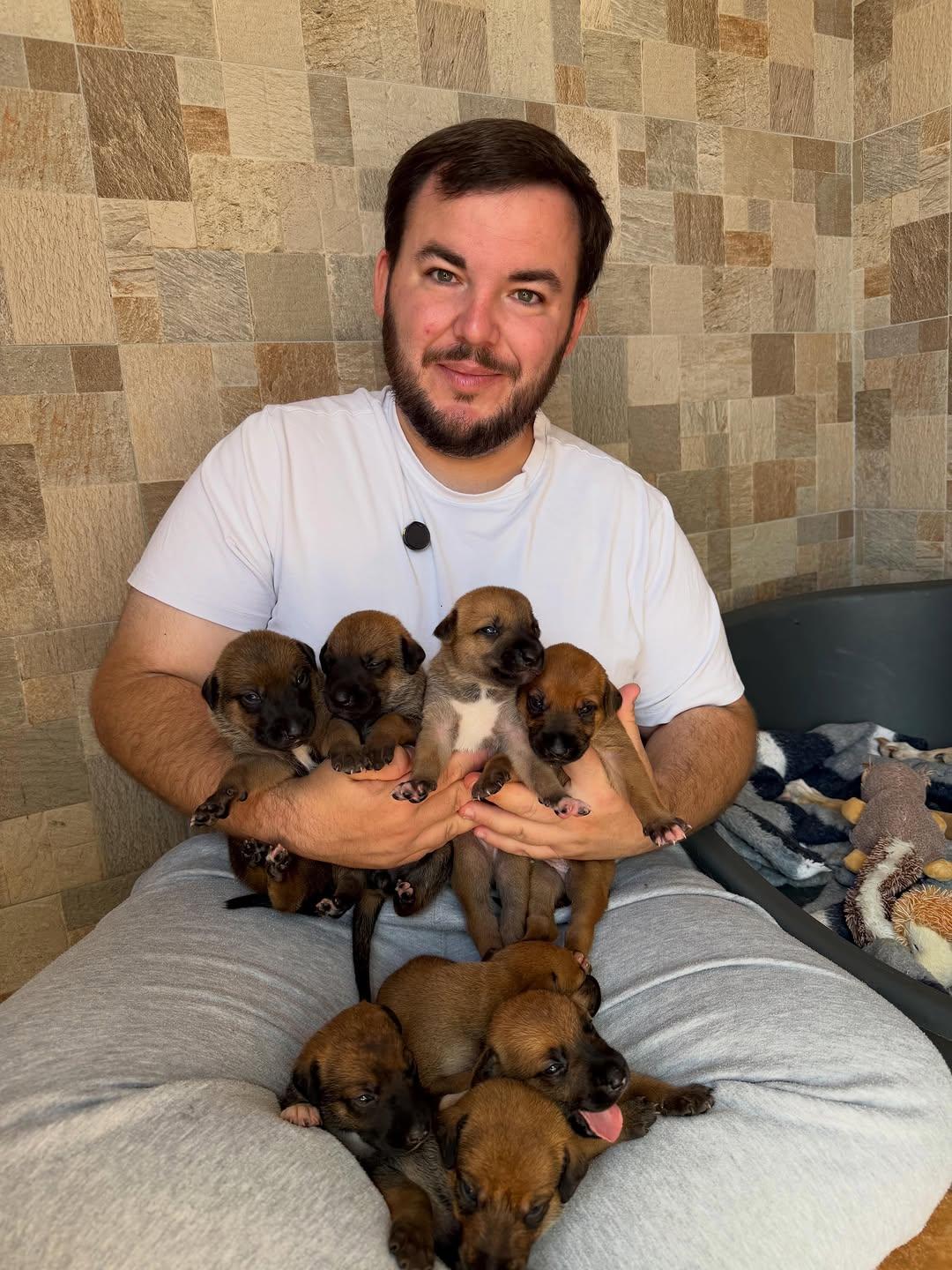 8 animalitos (1/6)