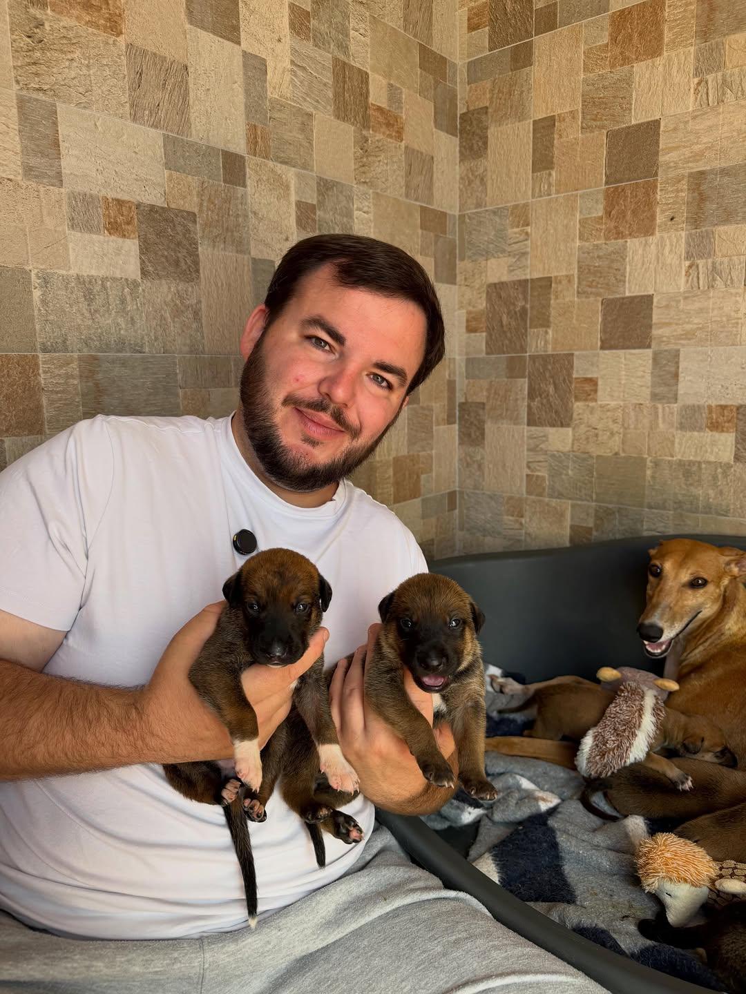 8 animalitos (2/6)