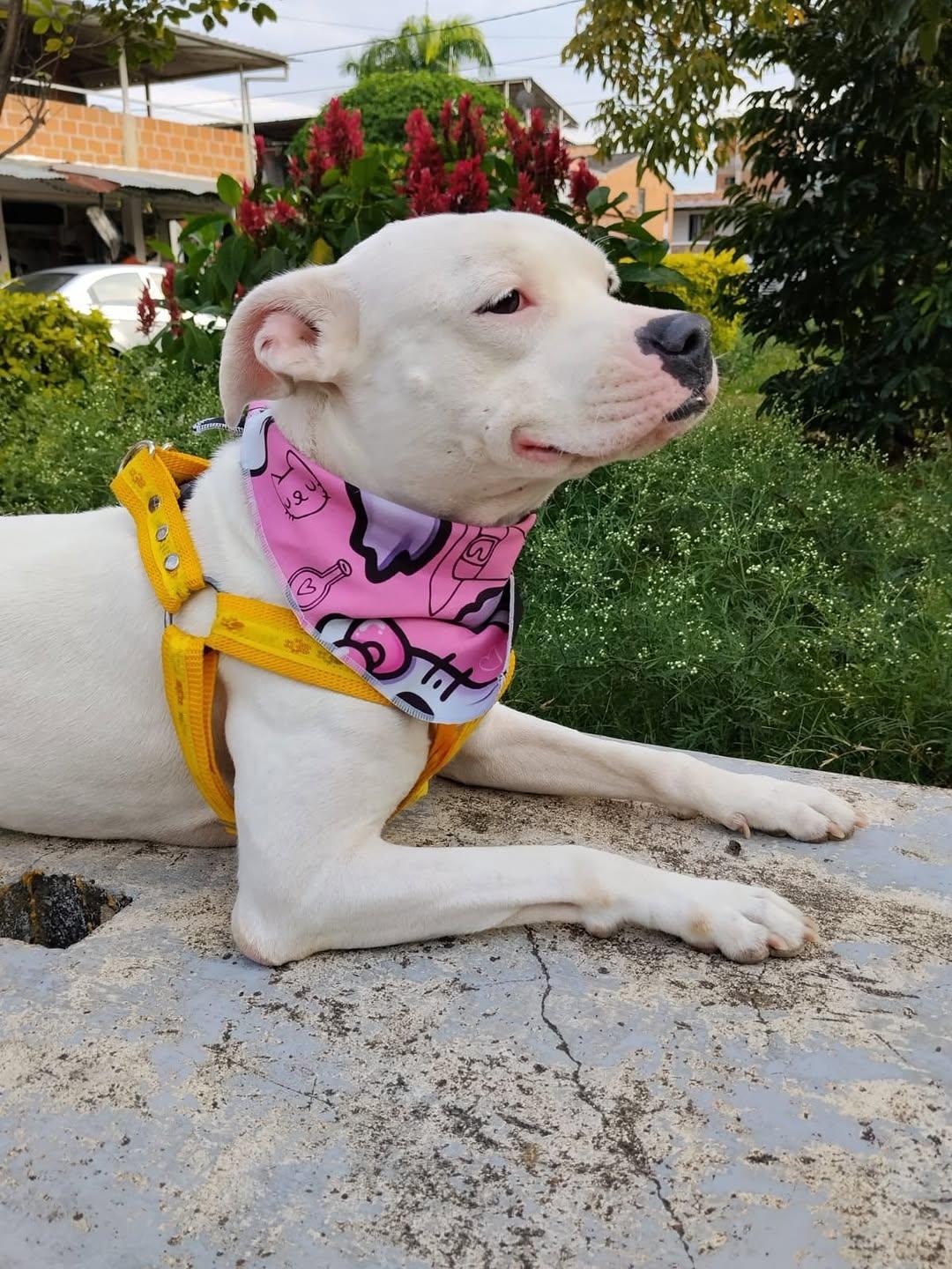 Kira (3/3)