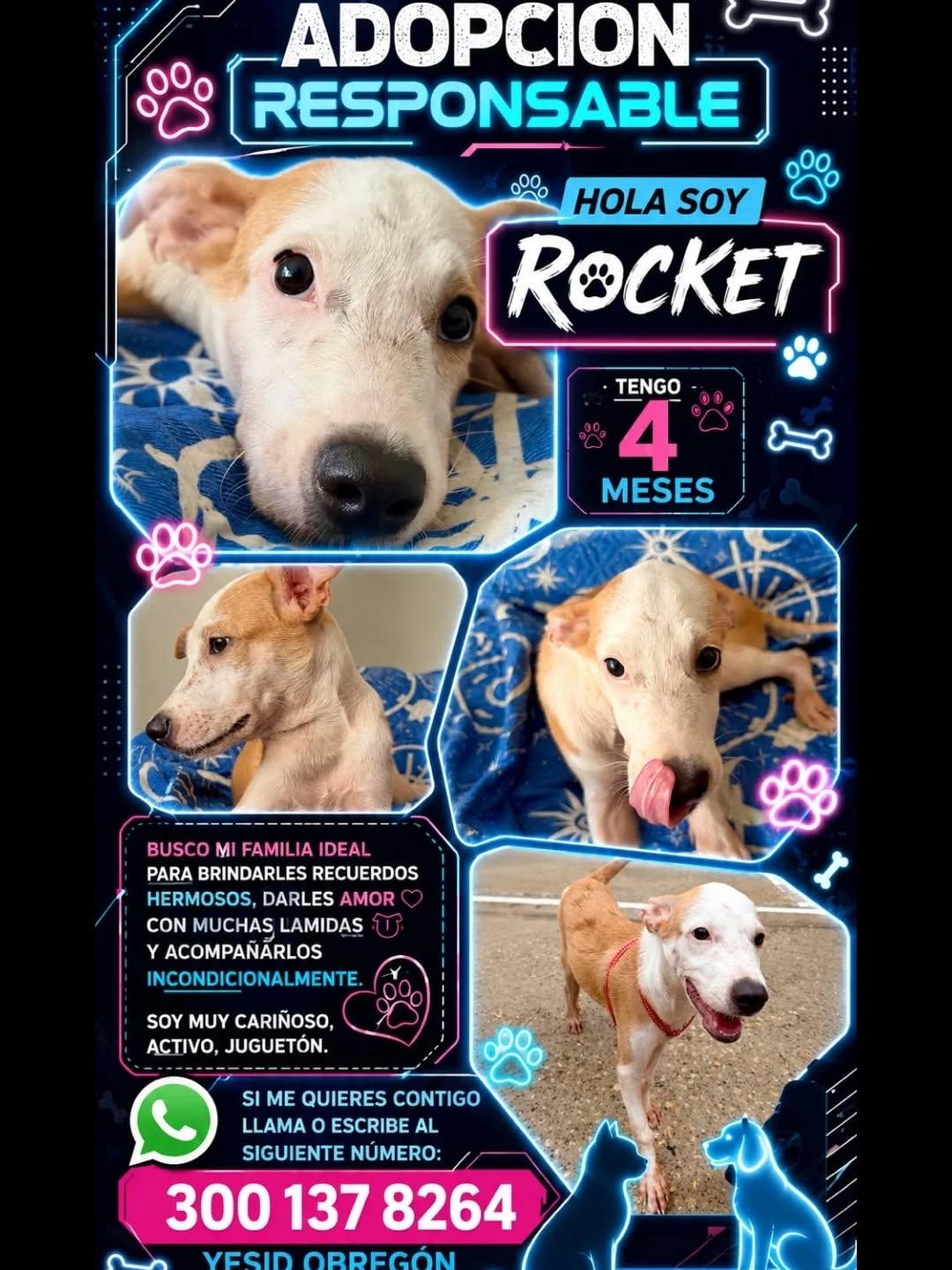 Rocket