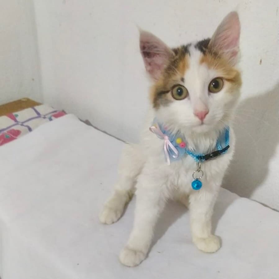 Romina (2/19)