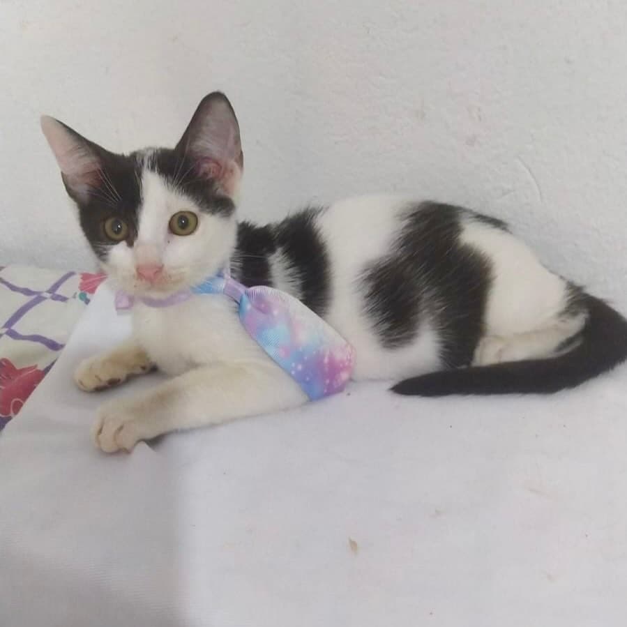 Romina (13/19)