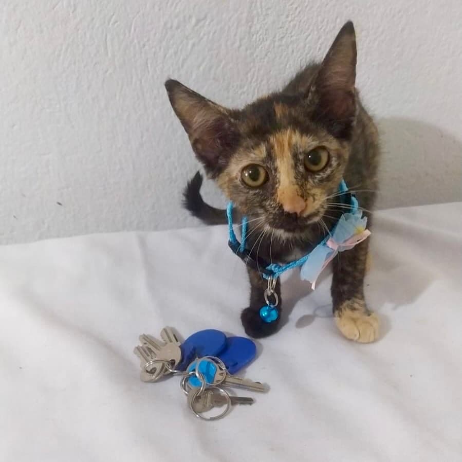 Romina (14/19)