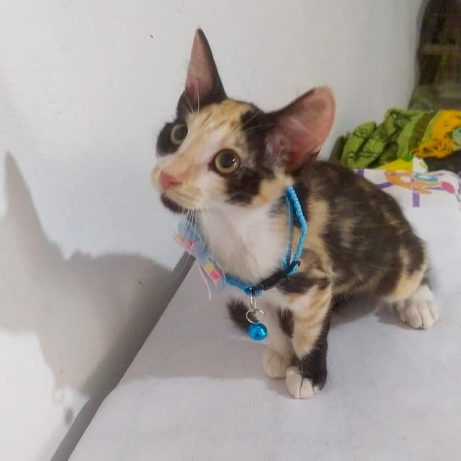 Romina (15/19)