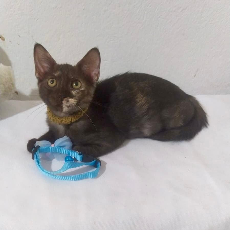 Romina (17/19)