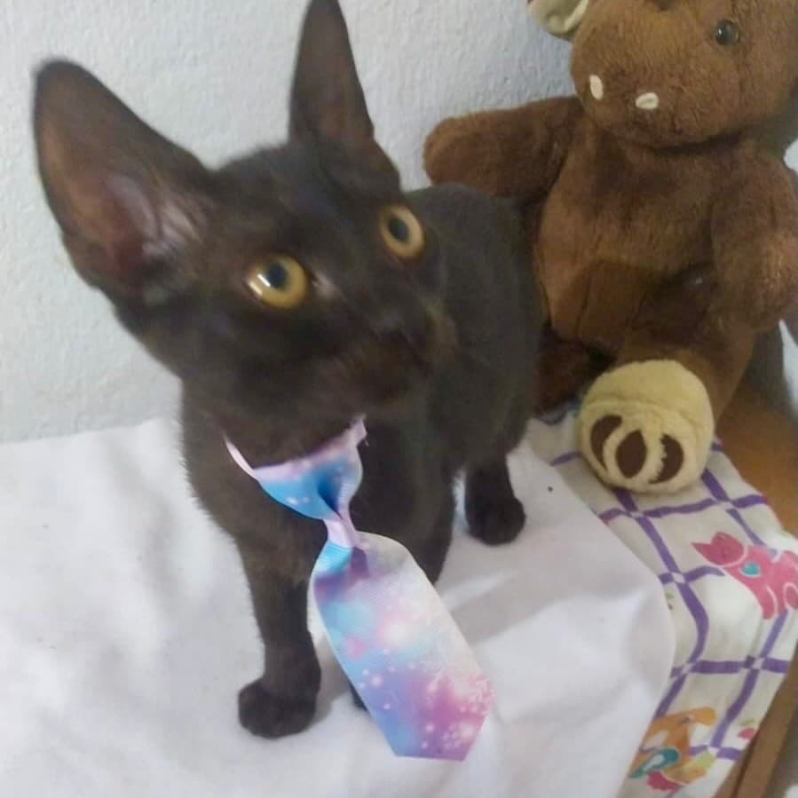 Romina (18/19)
