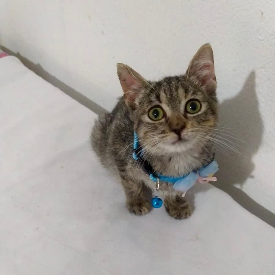 Romina (4/19)