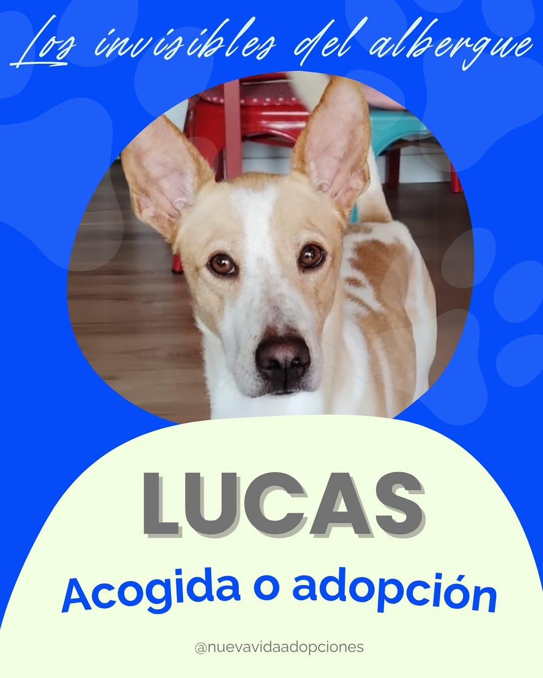 Lucas