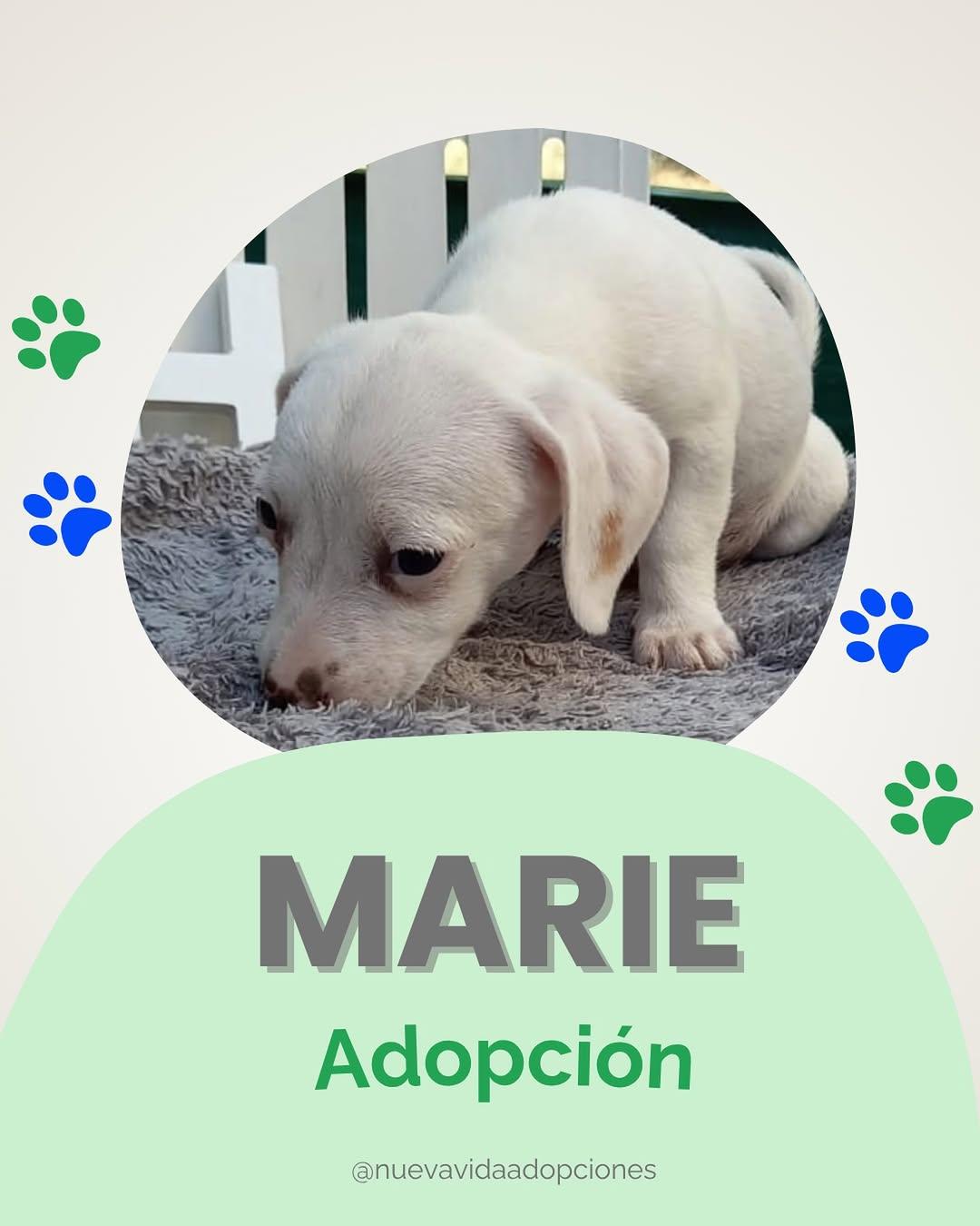 Marie