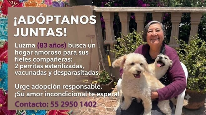 2 animalitos (1/5)