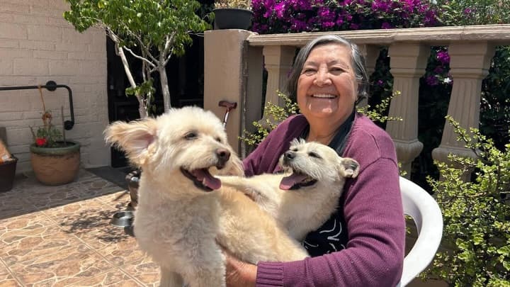 2 animalitos (2/5)