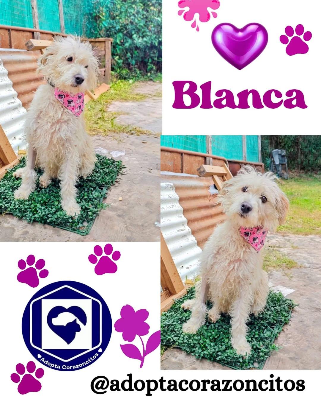 Blanca