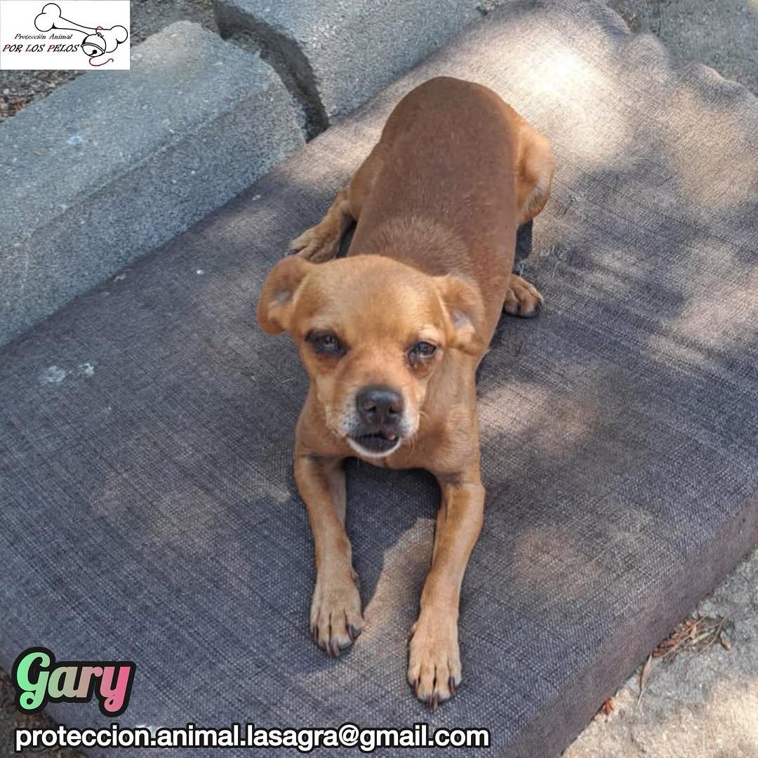 Gary, Galy (5/12)