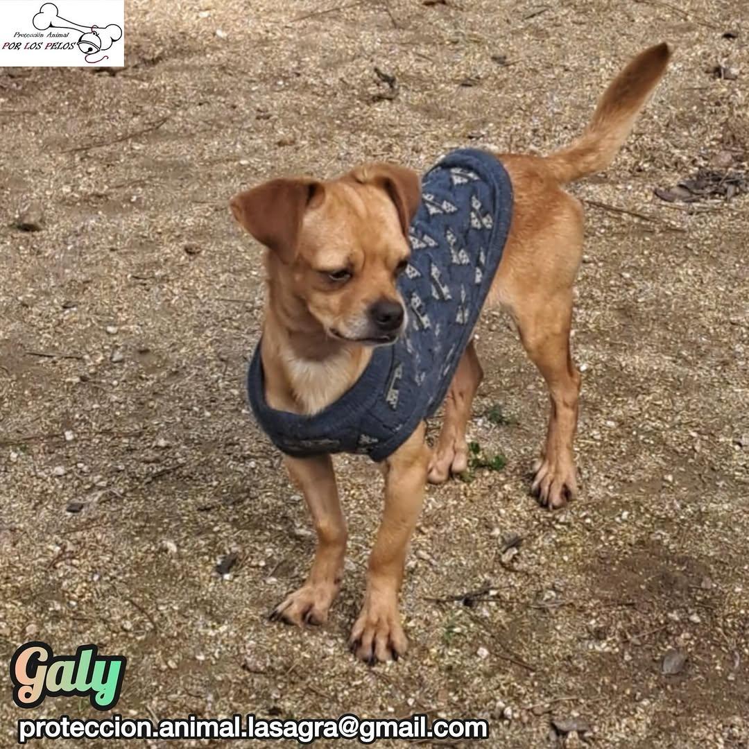 Gary, Galy (6/12)
