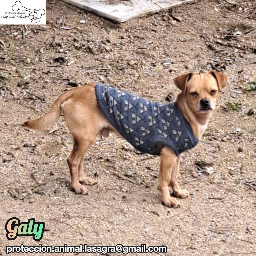 Gary, Galy (8/12)