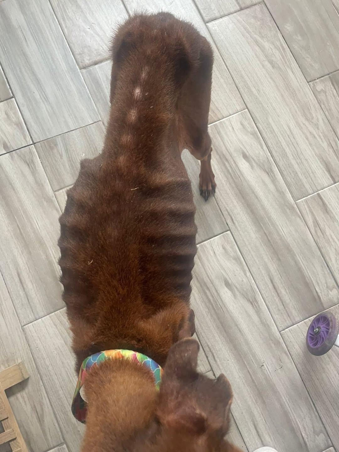 Sasha (2/7)