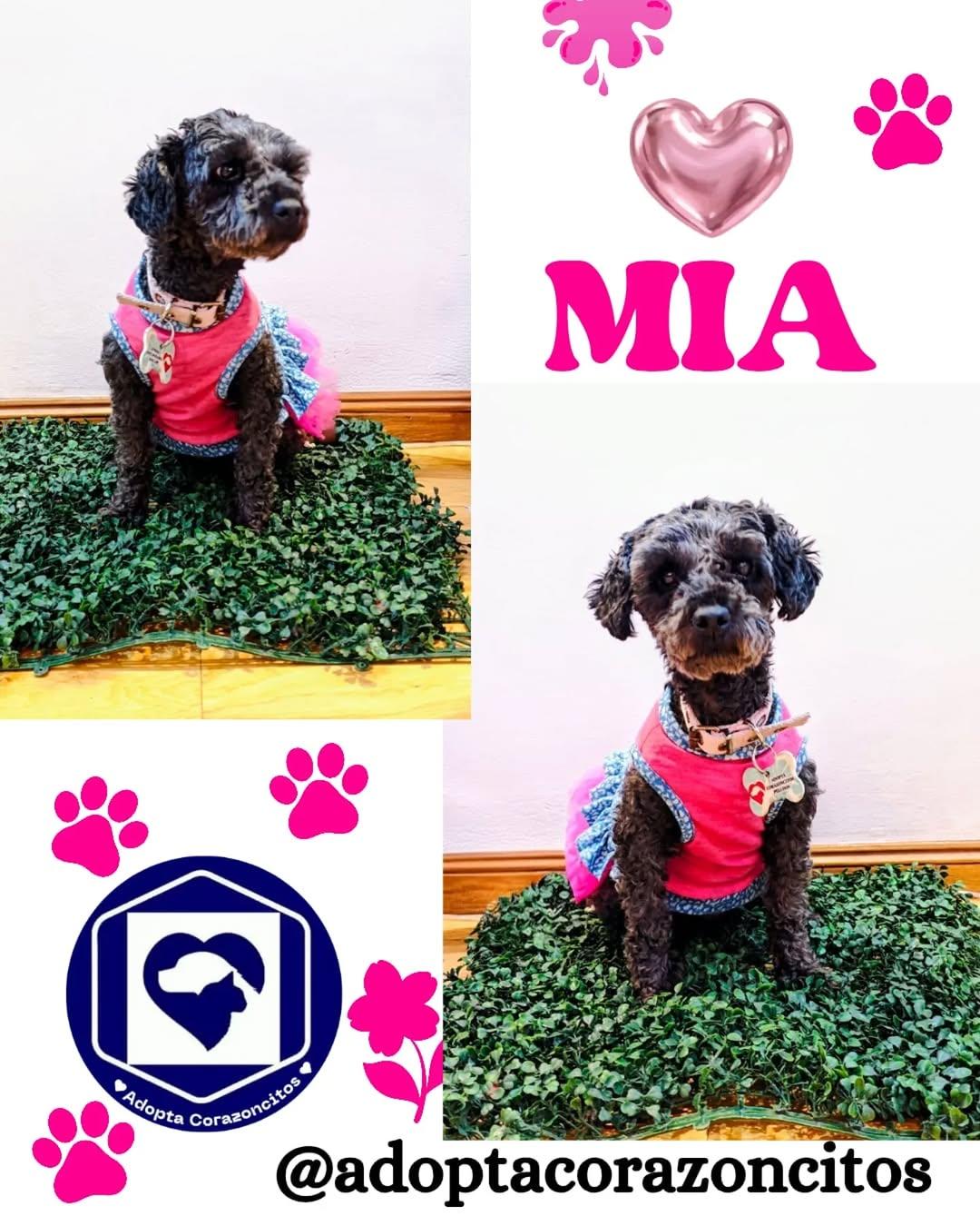 Mía