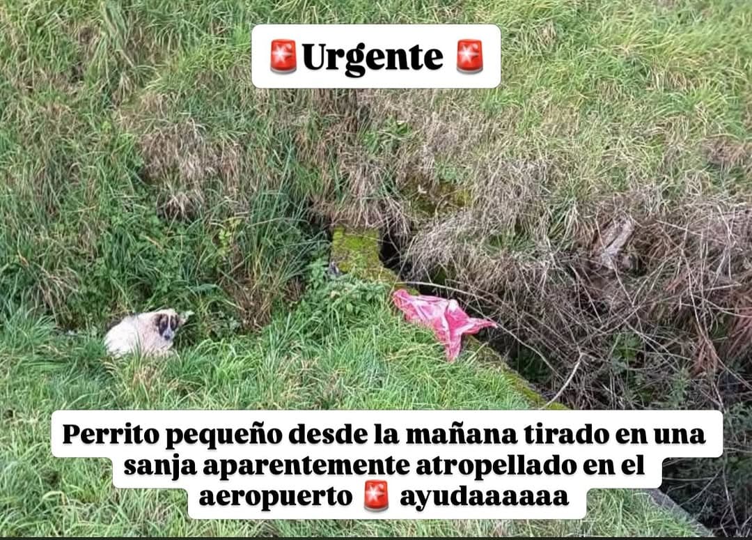 Sin nombre
