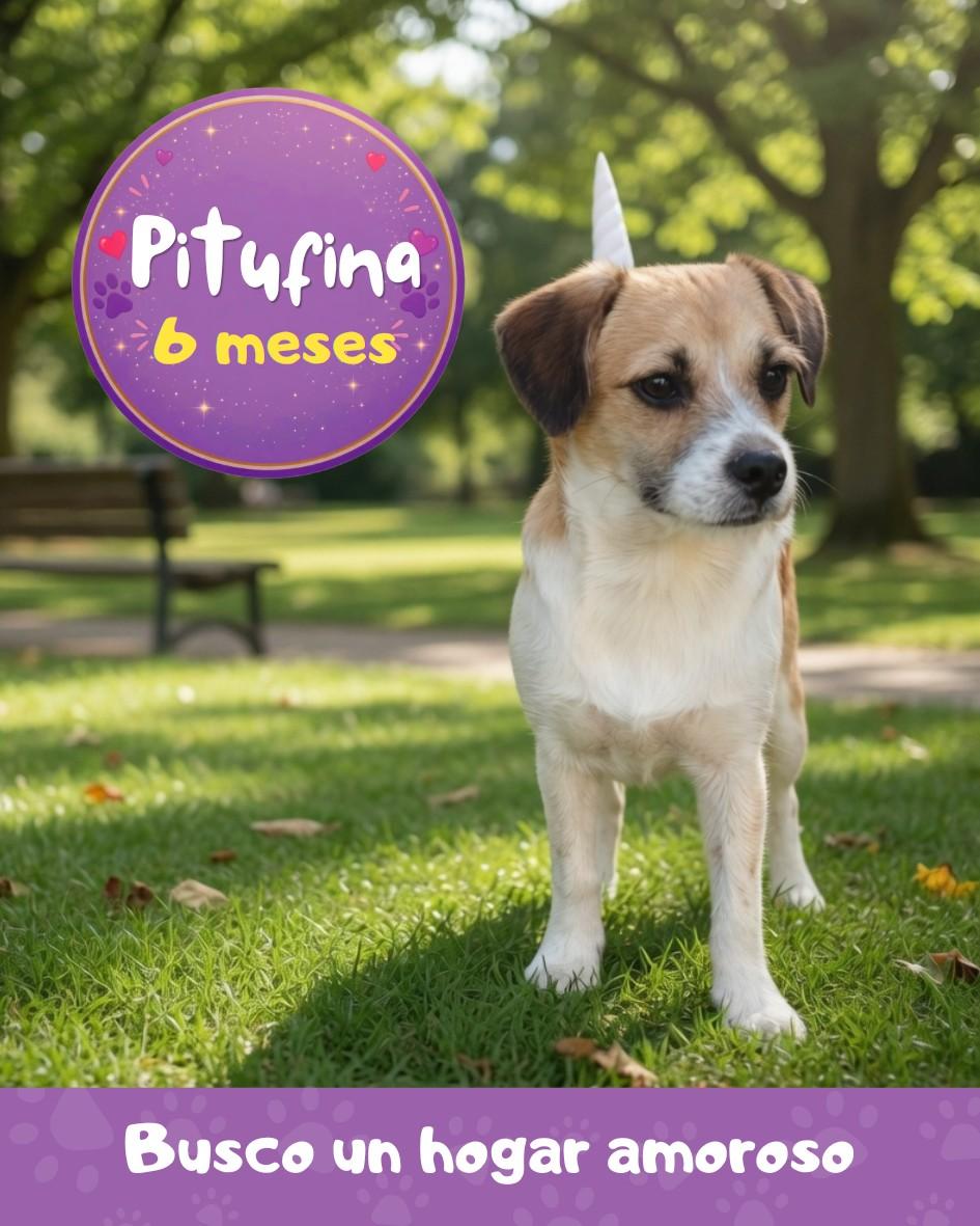 PITUFINA