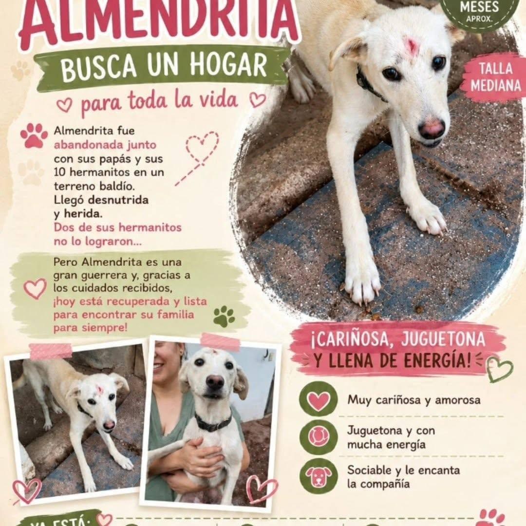 Almendrita