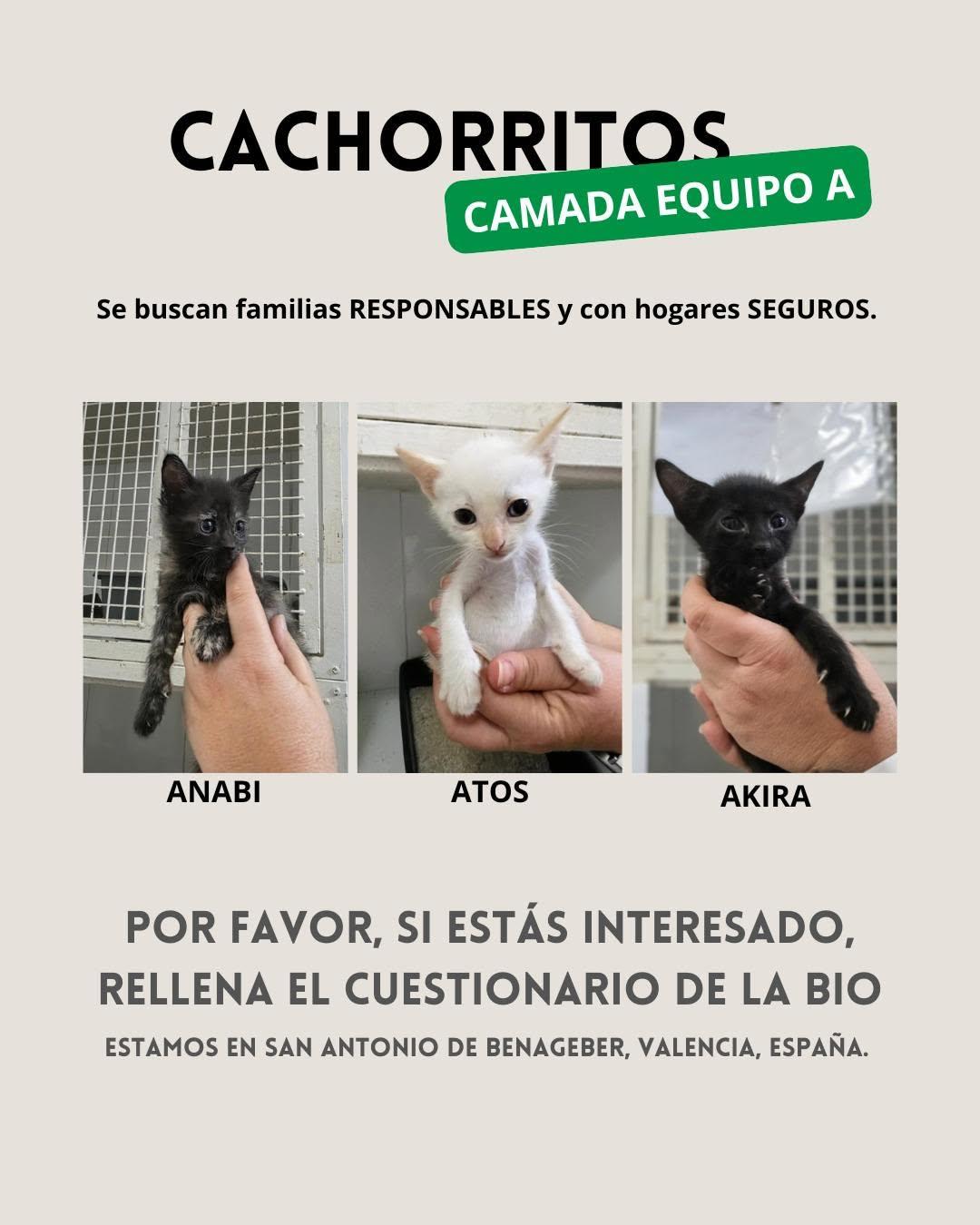 2 animalitos (3/6)
