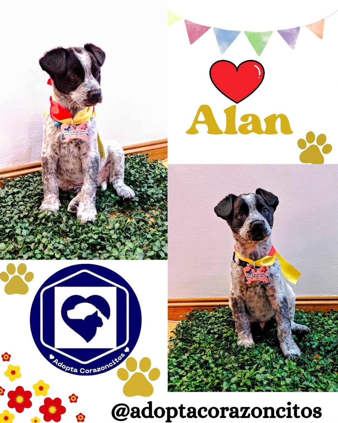 Zaira, Lucca, Alan +1 (3/4)