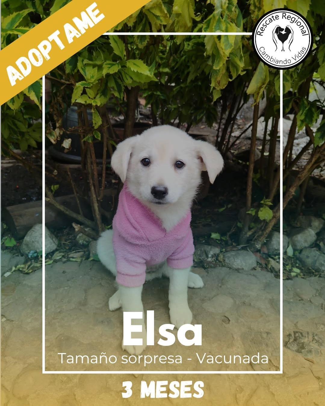 Elsa (1/5)