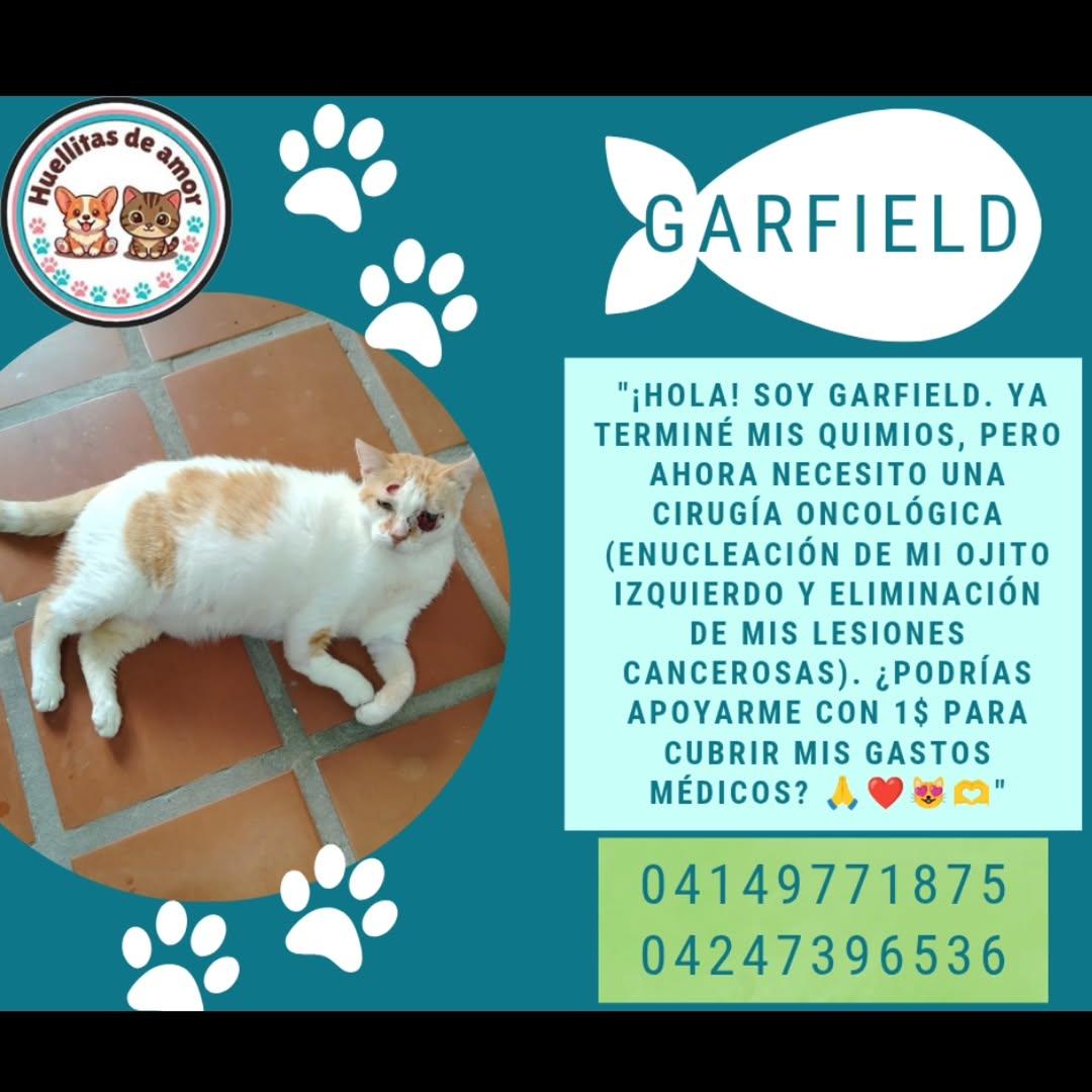 Garfield