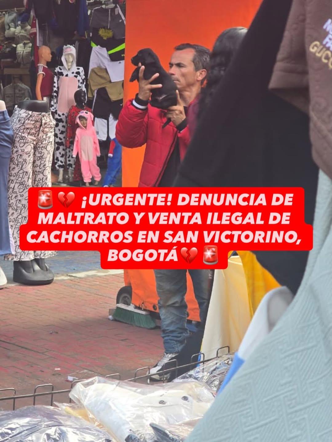 Sin nombre (1/3)
