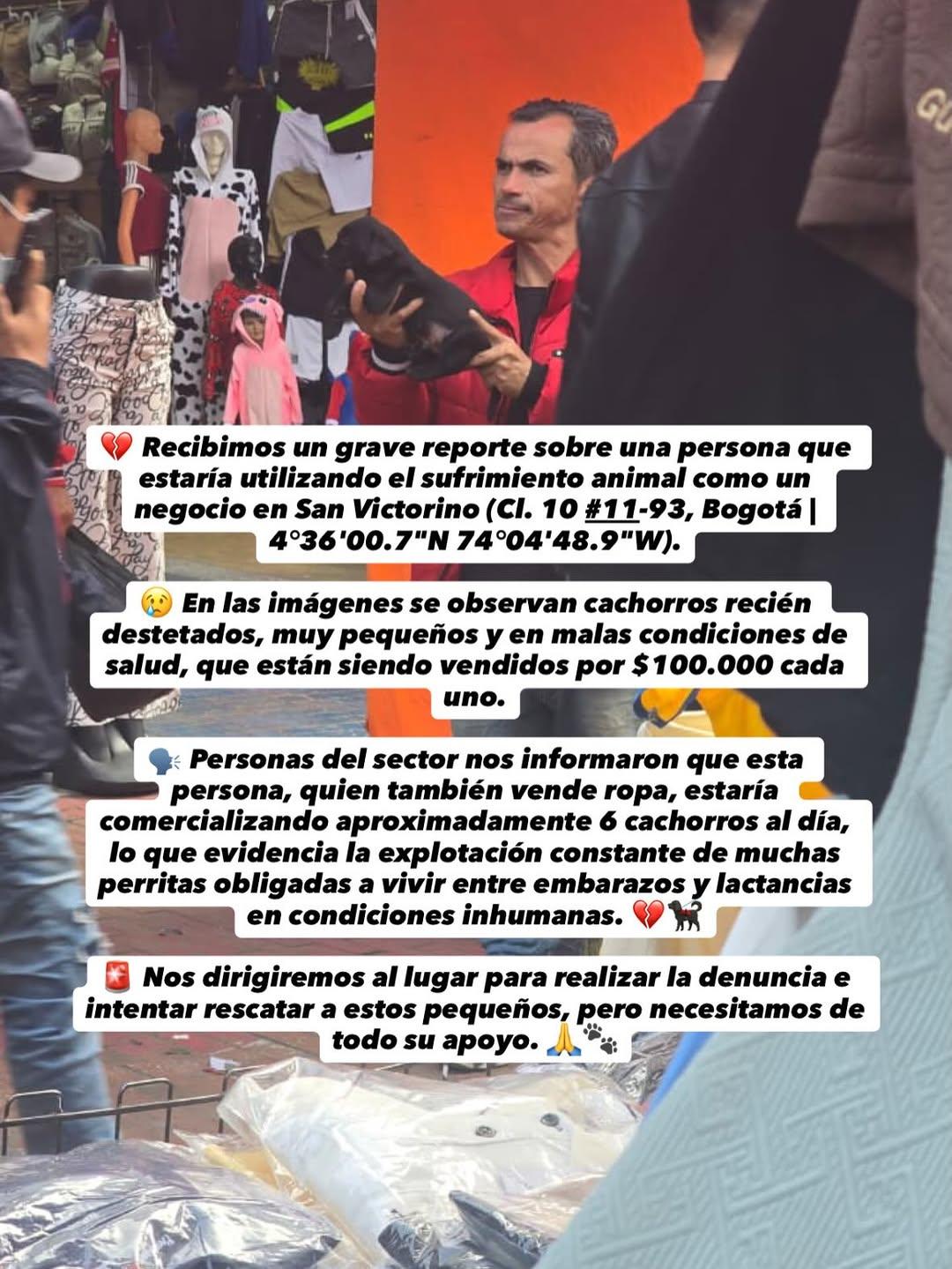 Sin nombre (2/3)