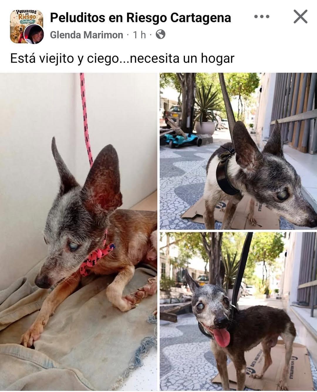 Sin nombre