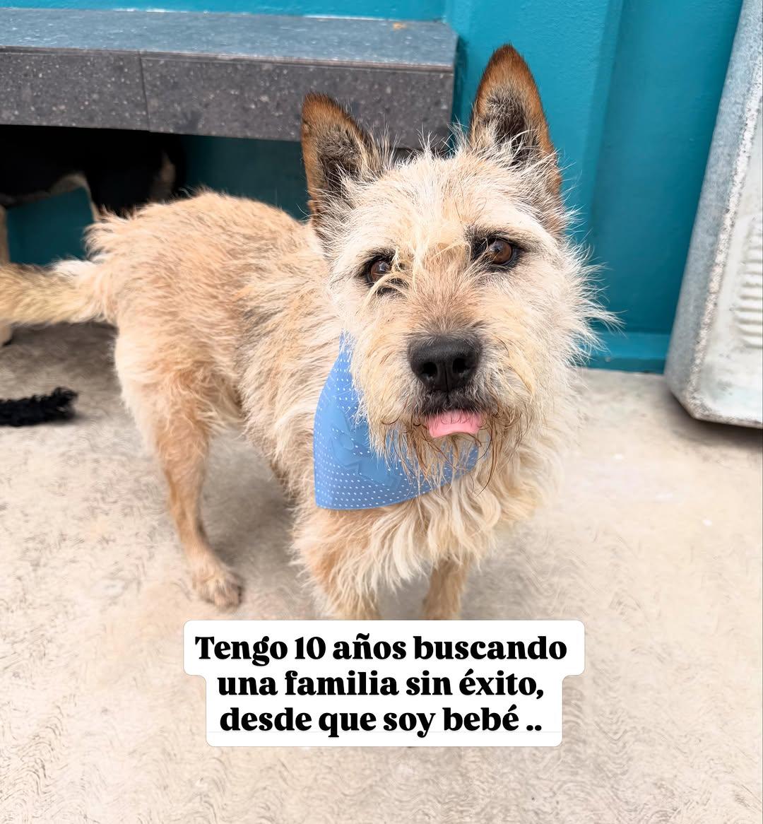 Mirruño (3/7)