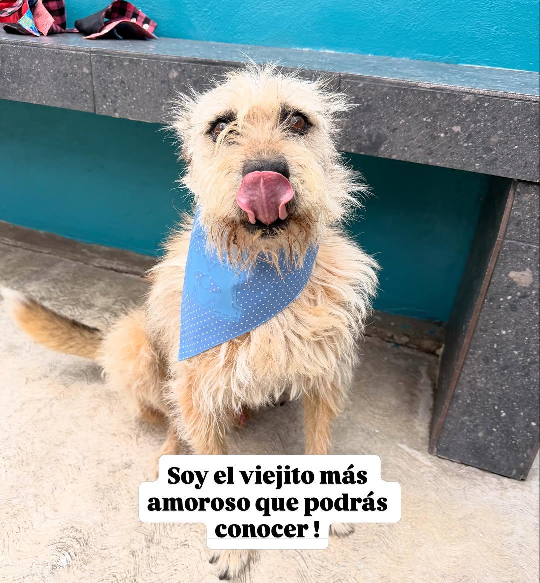 Mirruño (4/7)