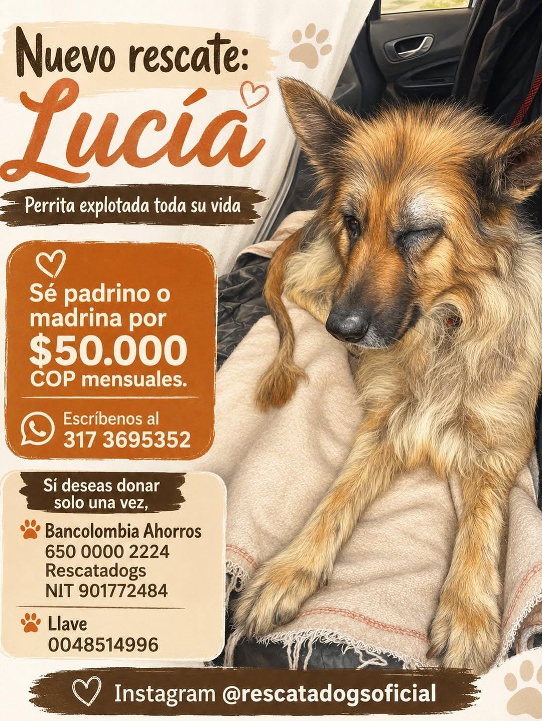 Lucía (6/6)
