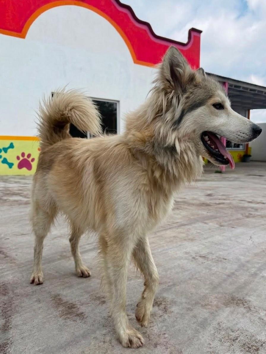 Lobito (5/6)