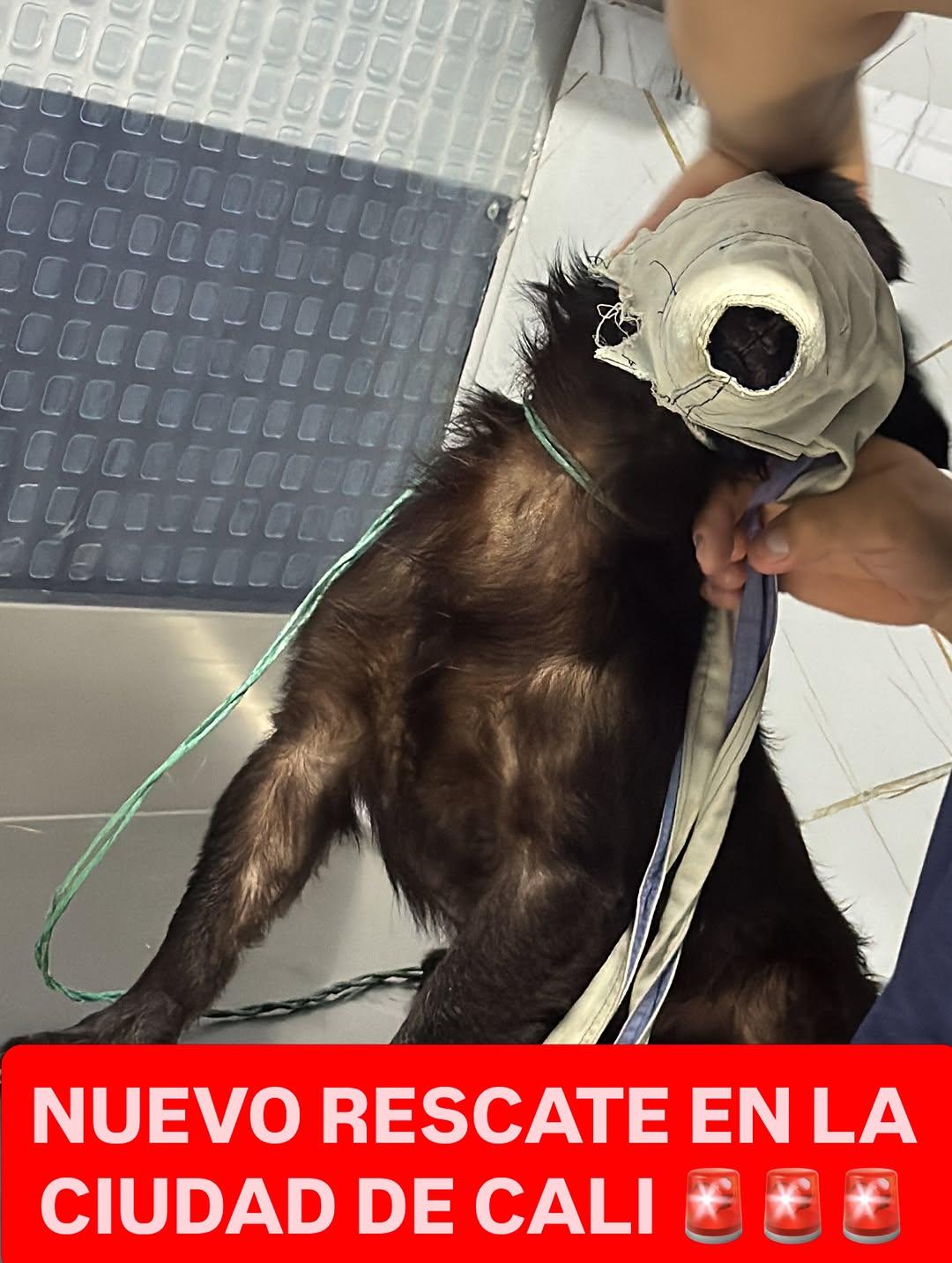 Sin nombre (1/3)