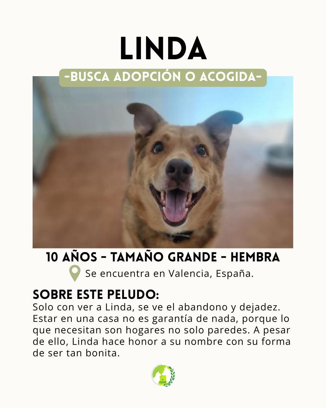 Linda, Lolita (2/5)