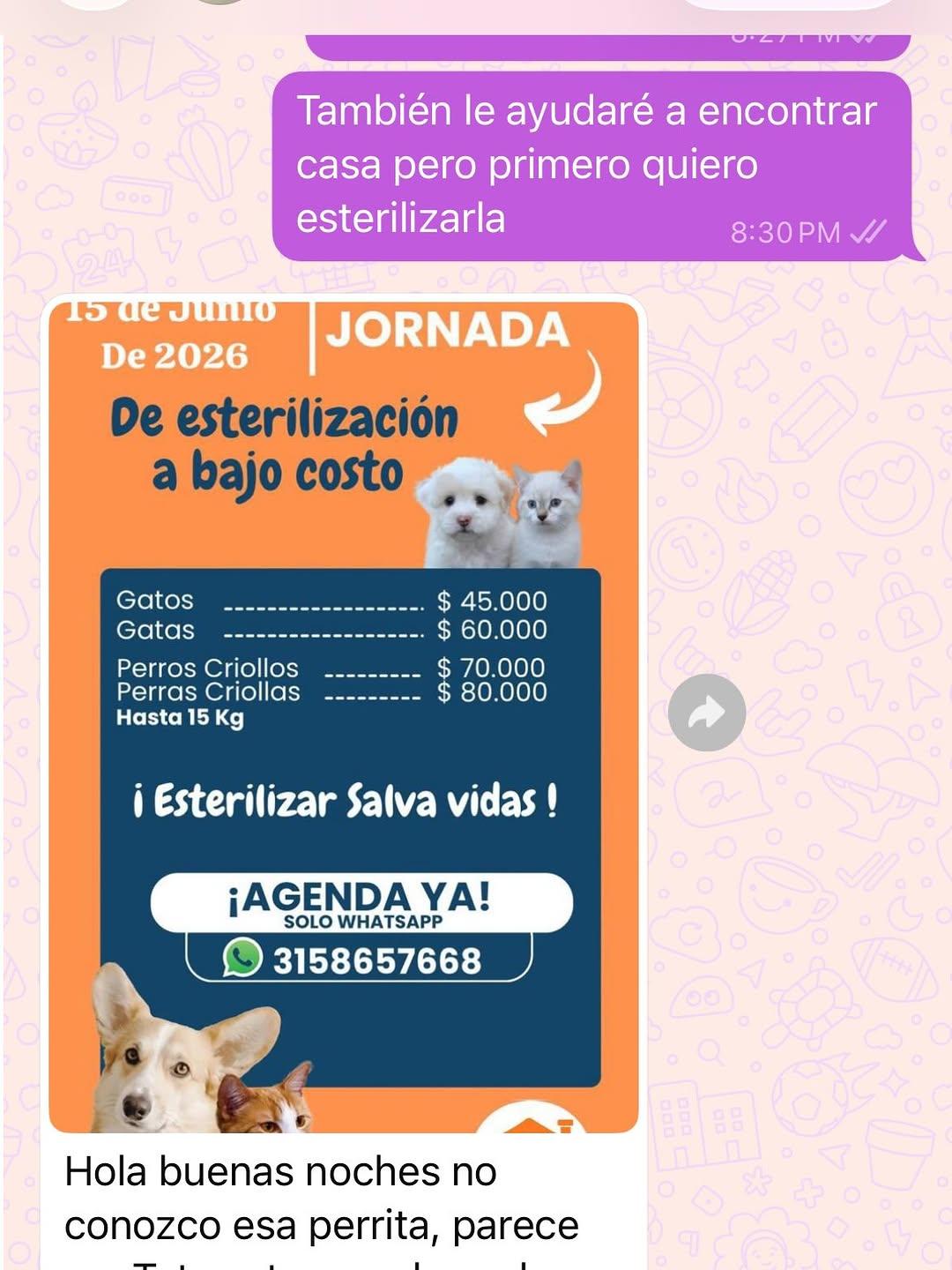 Sin nombre (2/8)