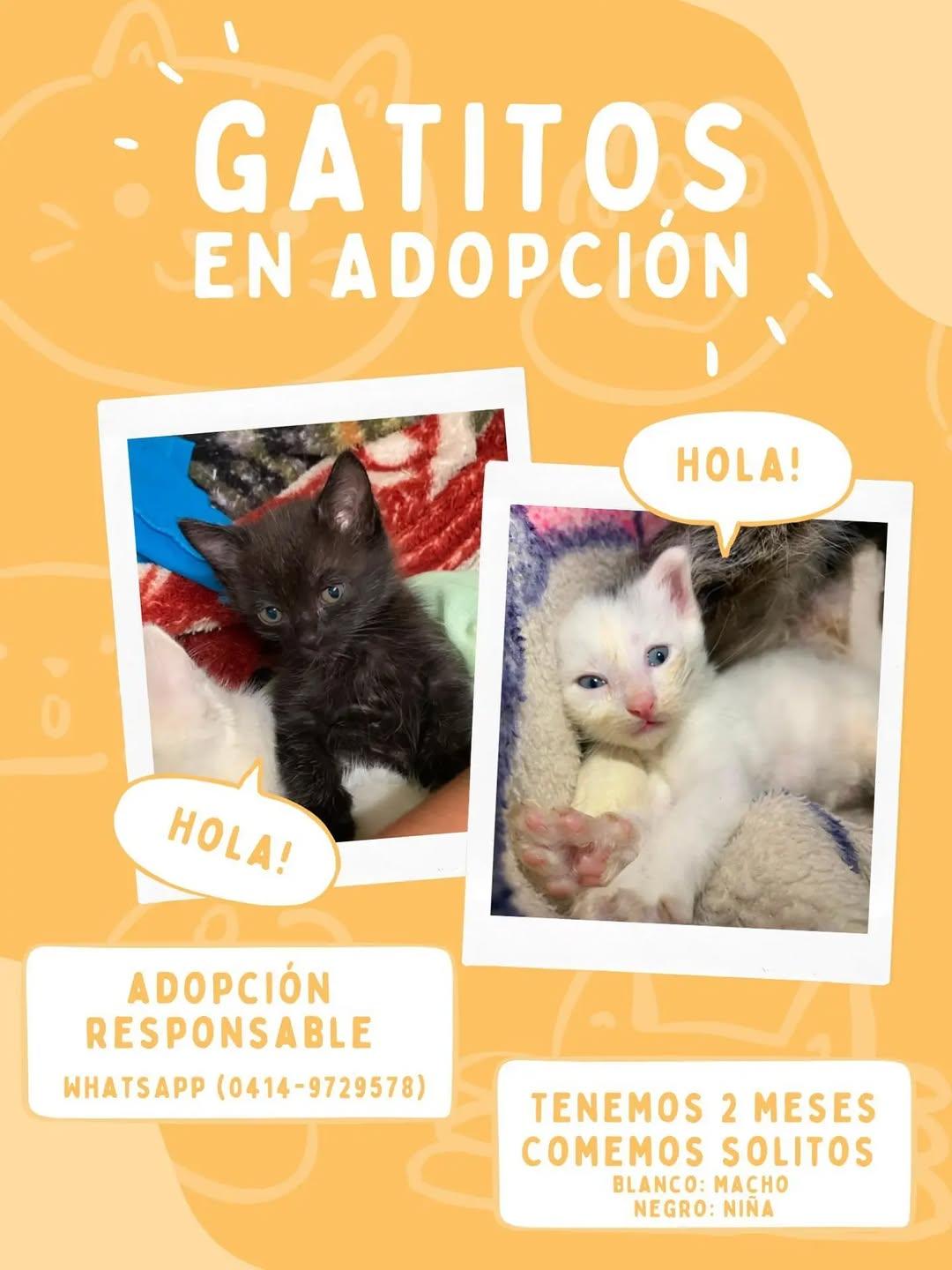 2 animalitos