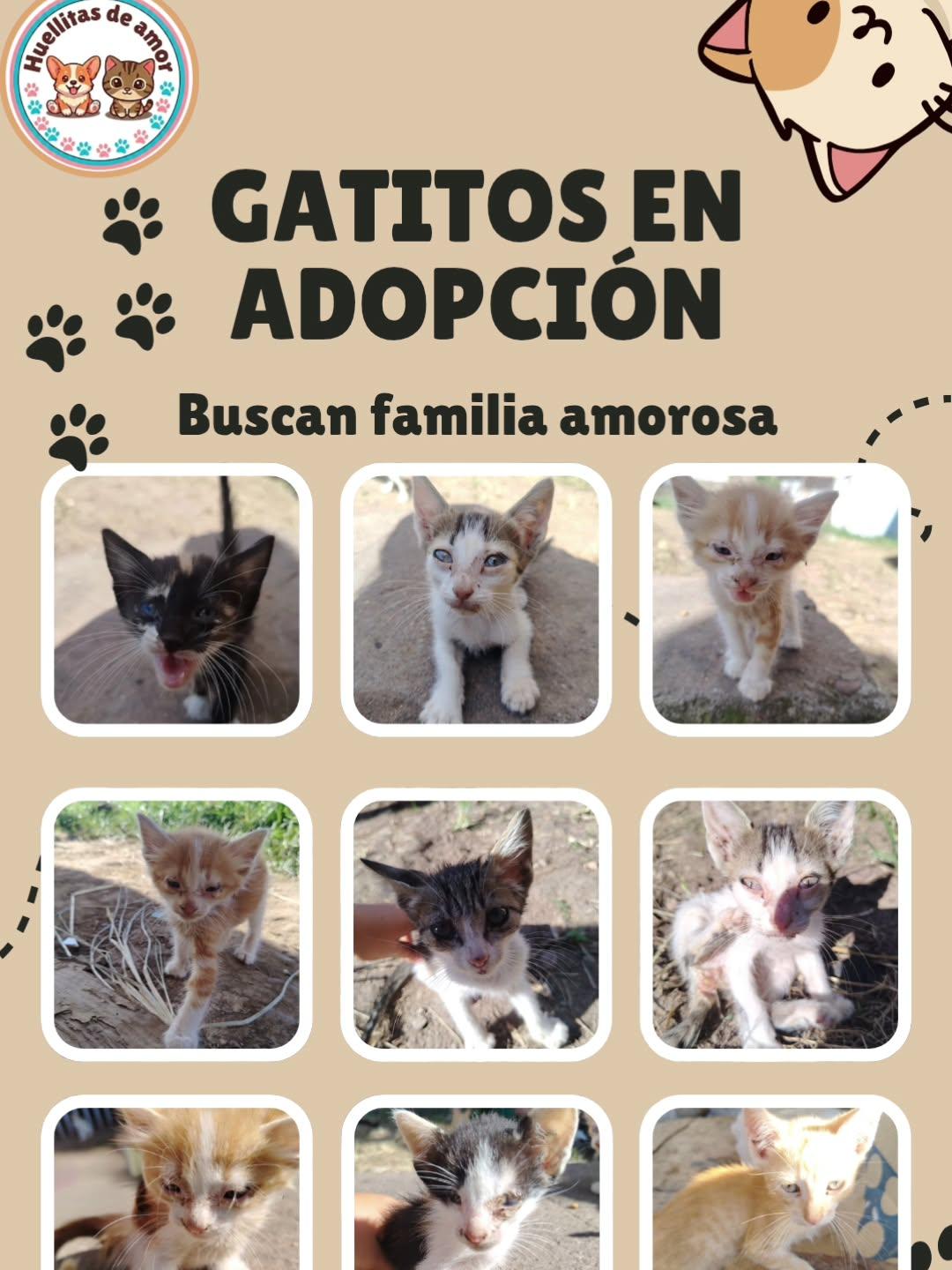 9 animalitos