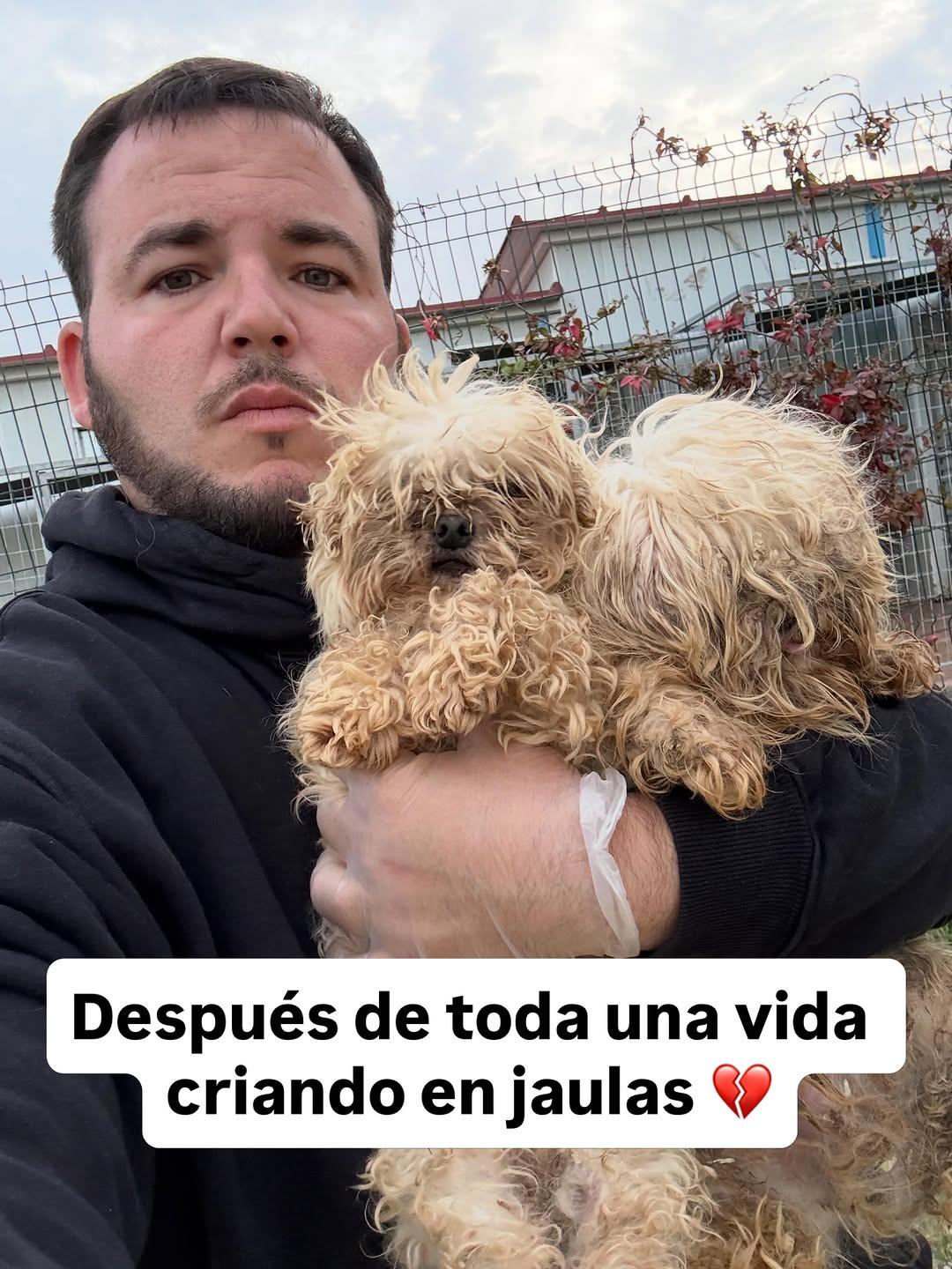 2 animalitos (1/13)