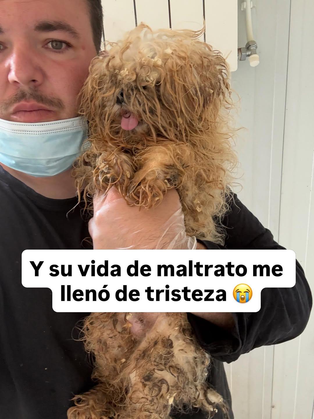 2 animalitos (3/13)