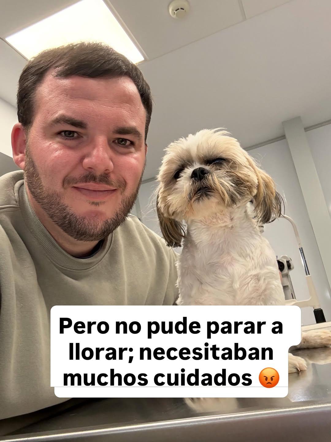 2 animalitos (4/13)