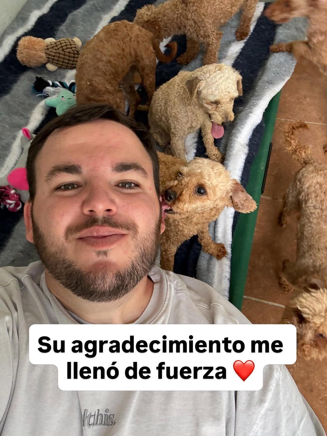 2 animalitos (6/13)